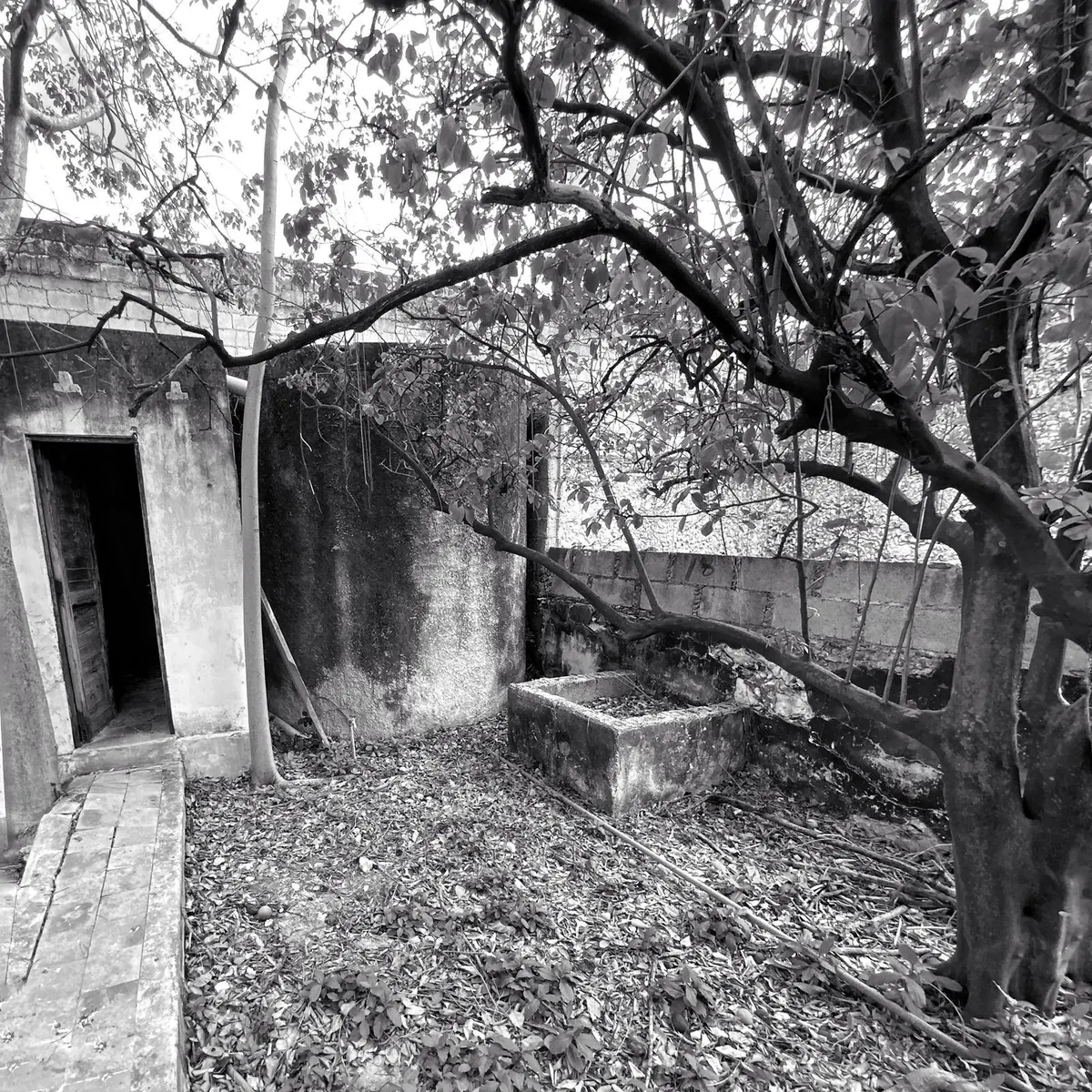 Back courtyard with the old cylindrical cistern before renovation