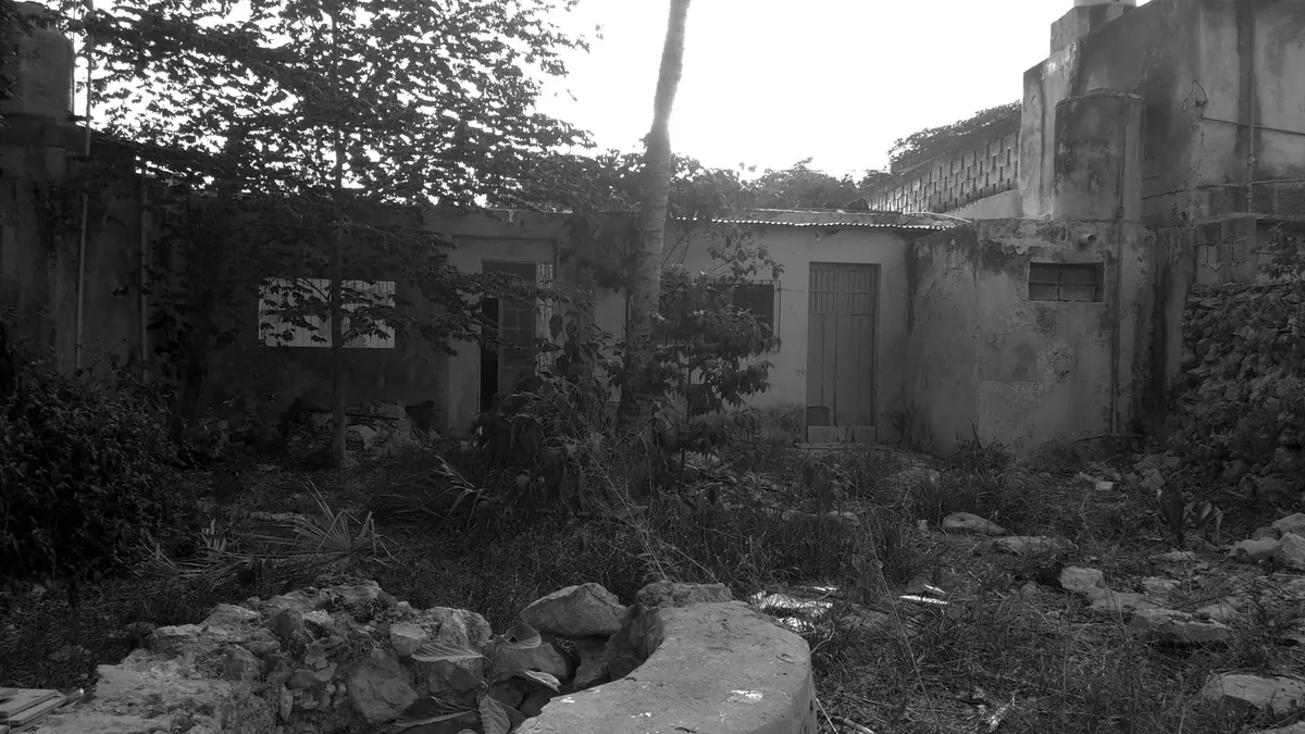 Overgrown rear patio before renovation